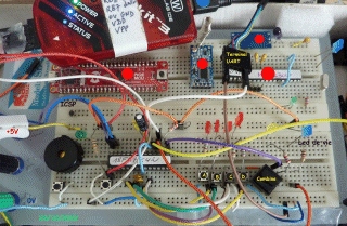 images/t_Proto_Big_breadboard_Audiophone_18F27K42_2022-1024.gif